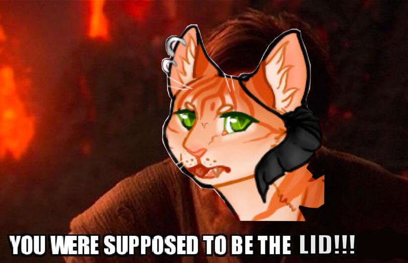 YOU WERE SUPPOSED TO BE THE LID